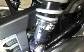 TRIUMPH SPEED TWIN 900 2023