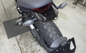 DUCATI SCRAMBLER ICON 2024