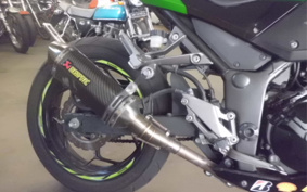 KAWASAKI Z250 ER250C