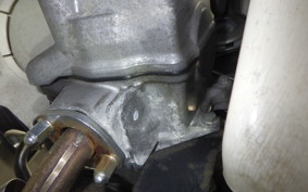 HONDA LITTLE CUB AA01