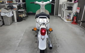 HONDA LITTLE CUB E AA01