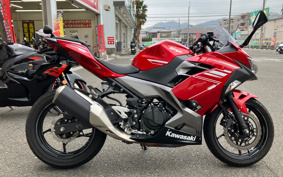 KAWASAKI NINJA 250 EX250P
