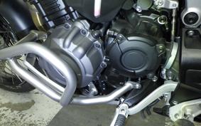 TRIUMPH TIGER 1200 RALLY 2024