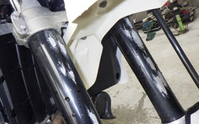 YAMAHA WR250X 2022 DG15J