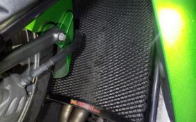 KAWASAKI ZX 1400 NINJA R A 2021