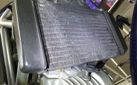 HONDA VTR 250 MC33