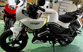 OTHER CFMOTO XO-1 PAPIO