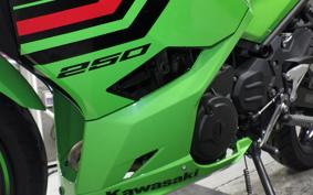 KAWASAKI NINJA 250 2 2007 EX250Y