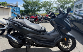 HONDA  FORZA 250 MF13