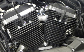 HARLEY XL883N 2019