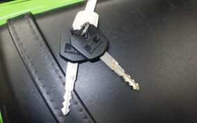 KAWASAKI NINJA 250 ABS EX250L