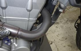 KAWASAKI KLX250D TRACKER X 2026 LX250V