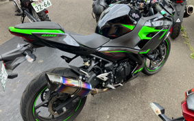 KAWASAKI NINJA 400 2019 EX400G