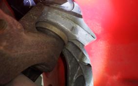 HONDA ZOOMER 2024 AF58