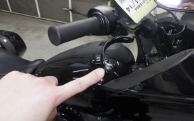 HARLEY FXLRST1920 2024