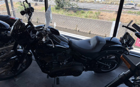 HARLEY FXLRS 2022 YWZ
