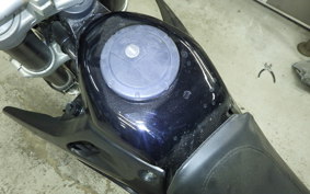 KAWASAKI KLX250D TRACKER