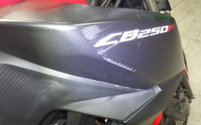 HONDA CB250FA 2006 MC43