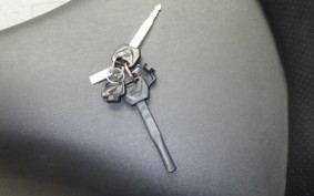 HONDA FAZE 1997 MF11