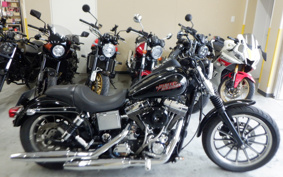 HARLEY HARLEY FXDL1580 2004 GDV