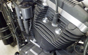 HARLEY XL883N 2017