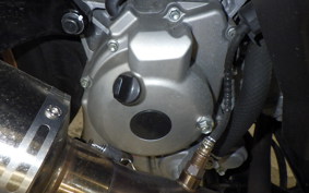 YAMAHA X-MAX 250 SG70J