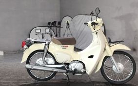 HONDA SUPER CUB50 AA09
