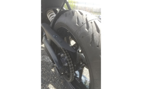 TRIUMPH TIGER 800 2026 L25P10
