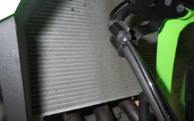 KAWASAKI ZX-4RR 2024 ZX400P