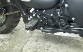 TRIUMPH SCRAMBLER 900 2023