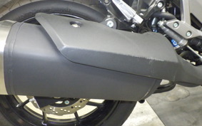 SUZUKI Vｽﾄﾛｰﾑ250A 2011