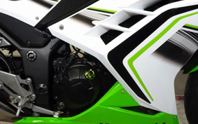 KAWASAKI NINJA 250 EX250L