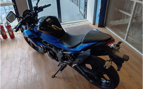 KAWASAKI Z250 SL BR250E