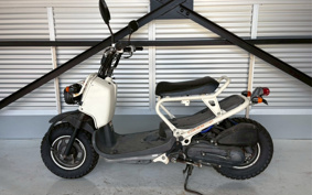 HONDA ZUMAR AF58