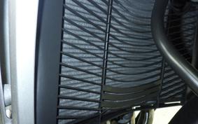 YAMAHA FZ1 FAZER 2008 RN21J