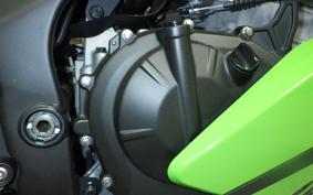 KAWASAKI ZX-25RR 2026 ZX250H