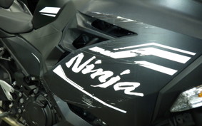 KAWASAKI NINJA 250 1996 EX250P