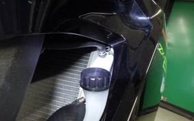 KAWASAKI NINJA ZX-6R A 2021 ZX636G