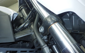 KAWASAKI Z250 2021 ER250C