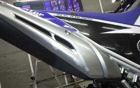 YAMAHA WR250R 2019 DG15J