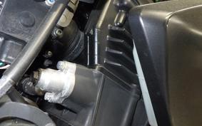 KAWASAKI Z250 2021 ER250C