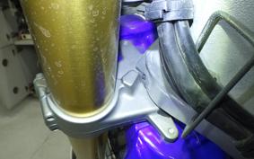 YAMAHA WR250R 2021 DG15J