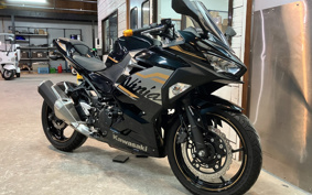 KAWASAKI NINJA 250 EX250P