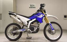 YAMAHA WR250R DG15J