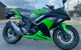 KAWASAKI Ninja 250 SE EX250L