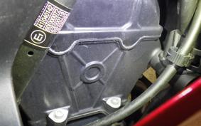 KAWASAKI NINJA 250 EX250P