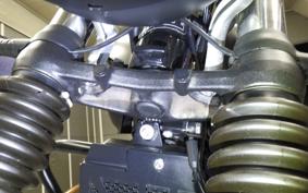 OTHER +ﾄｱｲｱﾝﾌｽﾄﾘｰﾄﾂｲﾝ900 2021