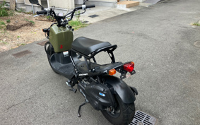 HONDA ZUMAR AF58