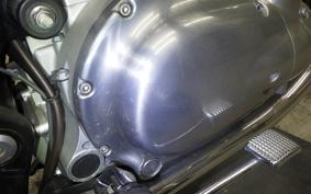 KAWASAKI W800 2022 EJ800E