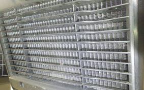 HONDA REBEL 1100 DCT 2021 SC83